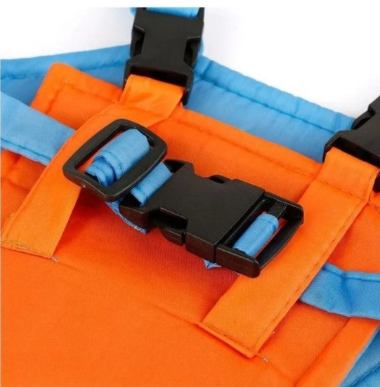 Portable Baby Walker - Go2Kids